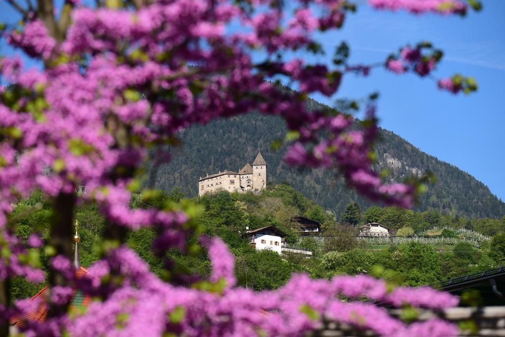 Pension Stamserhof Nalles Exterior foto